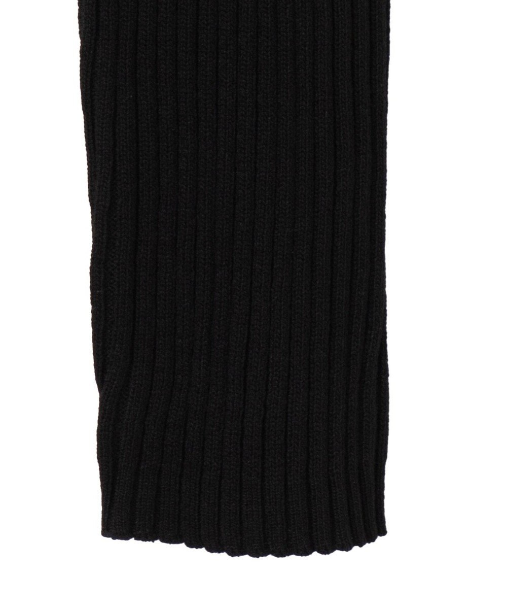 WEGO リブハイネックショートニット 