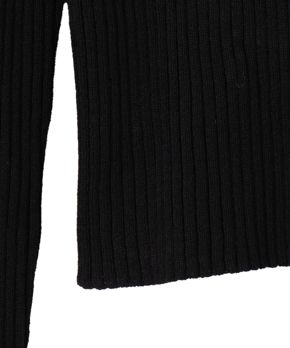 WEGO リブハイネックショートニット 