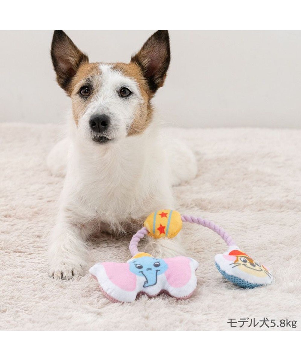 PET PARADISE ディズニー ダンボ ＆ティモシー  ロープトイ 