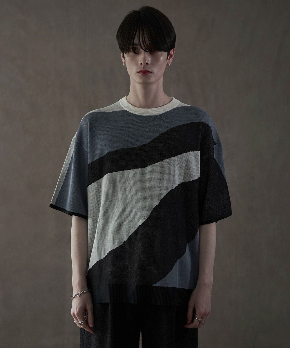 WEGO ジャガードニットT（SS） 