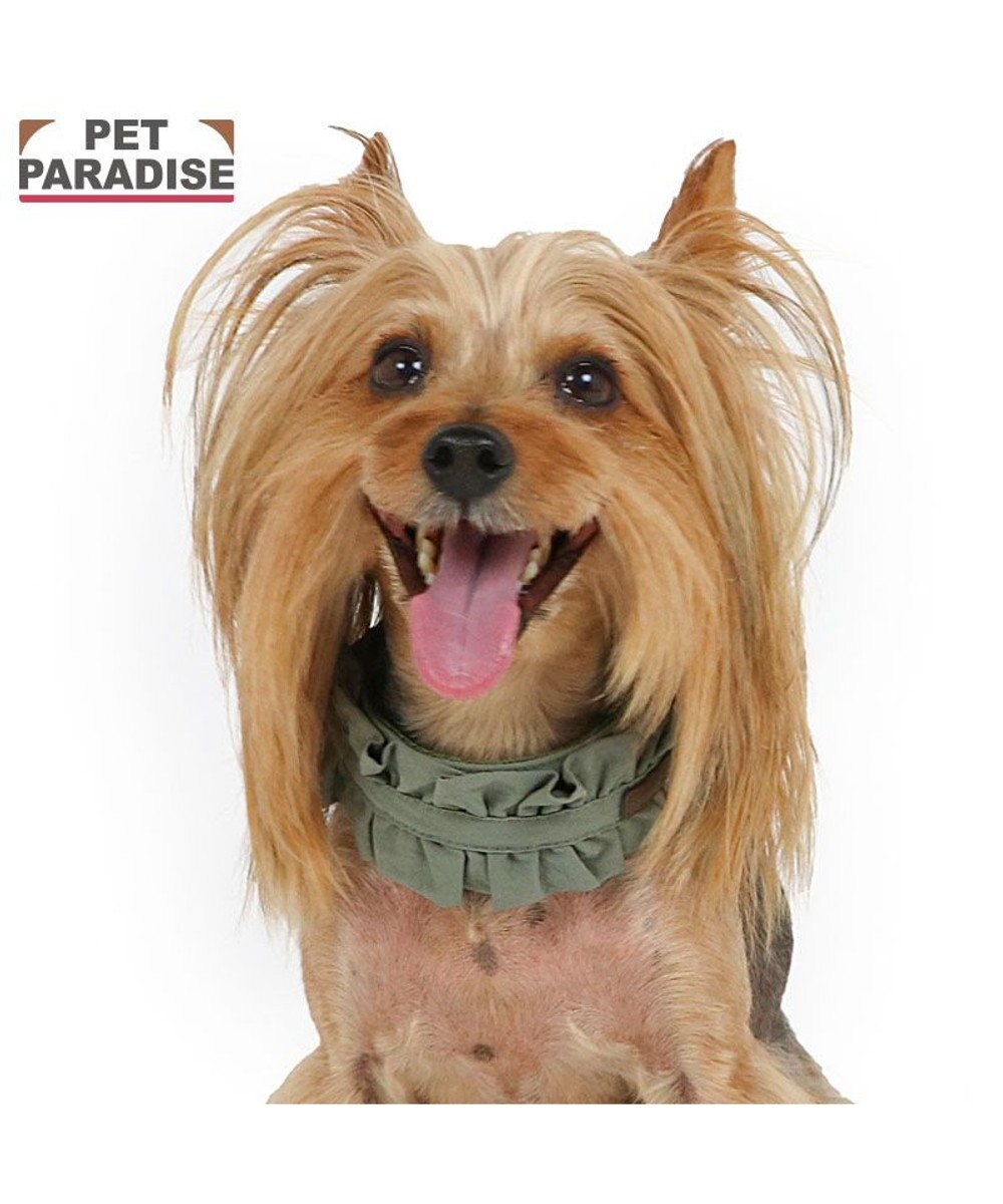 PET PARADISE ペットパラダイス ペタルオリーブ首輪 ＳＳ 