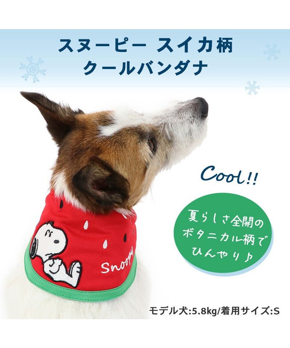 PET PARADISE スヌーピー スイカ柄 クールネック バンダナ 《保冷剤付き》【小型犬】 