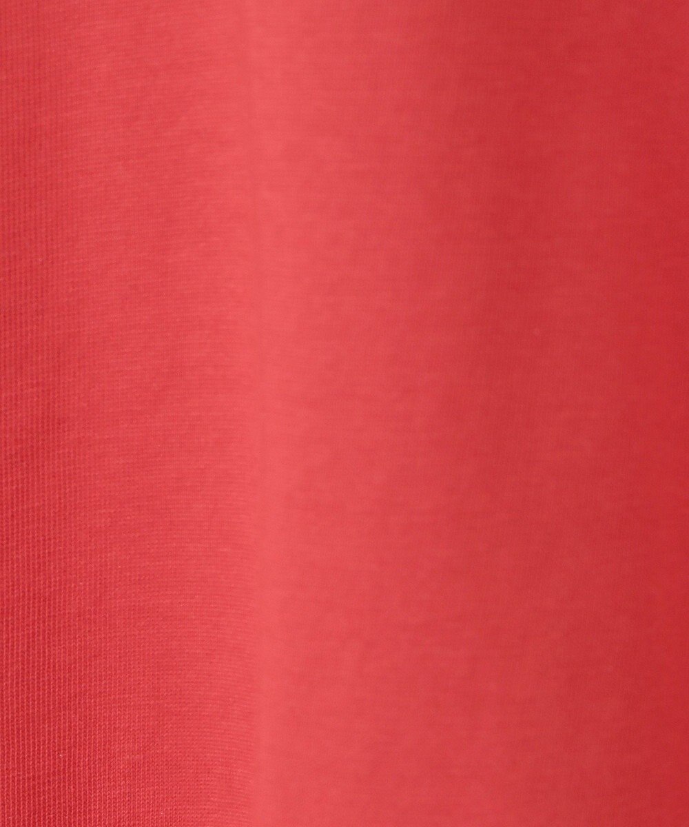 Green Parks 今年っぽチュールドッキングプルオーバー 