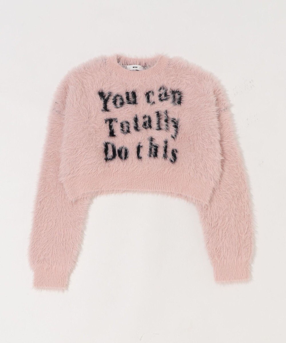 WEGO ロゴシャギーショートニット 