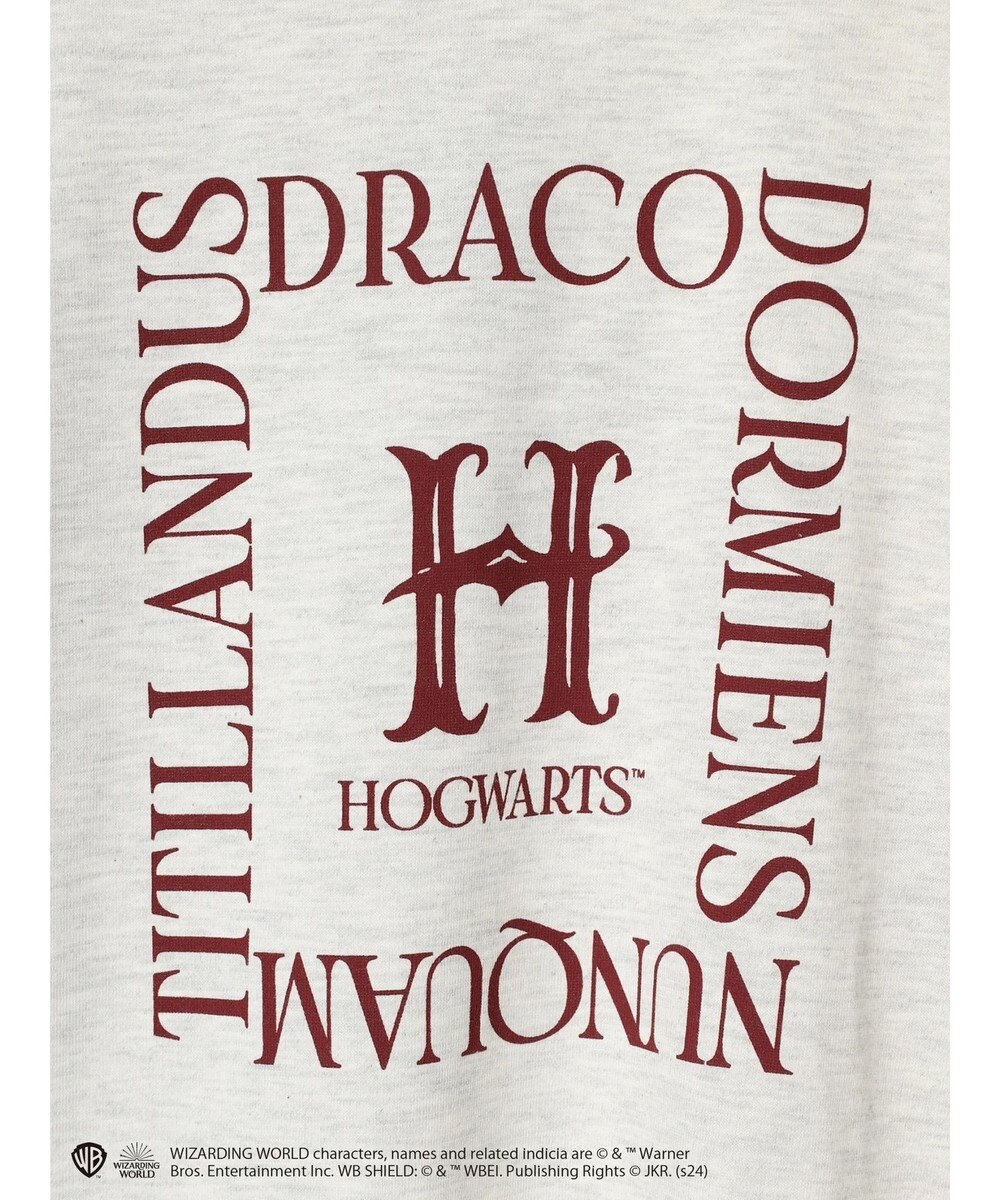 Green Parks ハリーポッター／ロゴロンＴ 