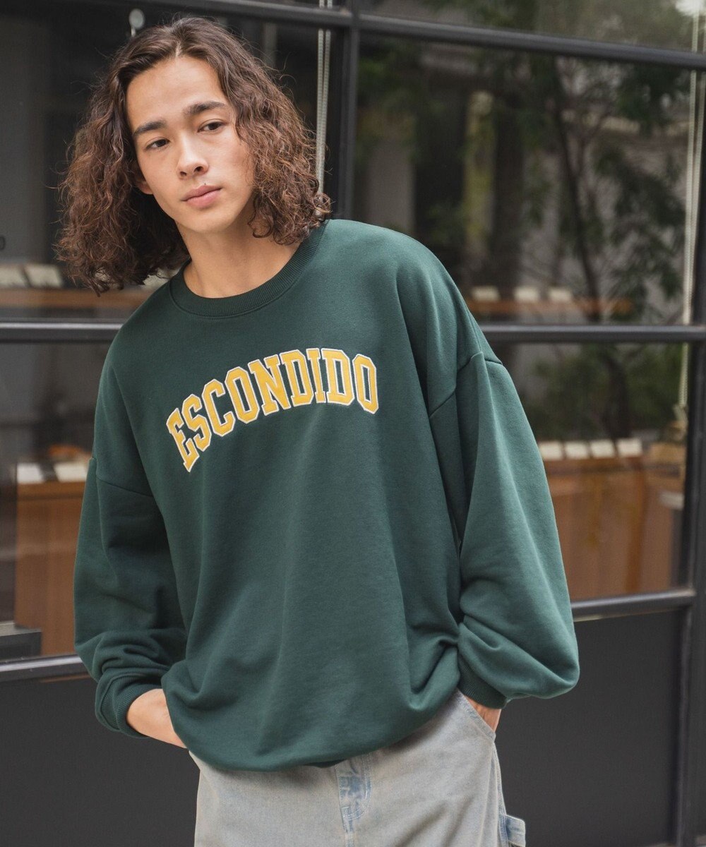 WEGO ヘビーウエイト刺繍グラフィックプルオーバー 