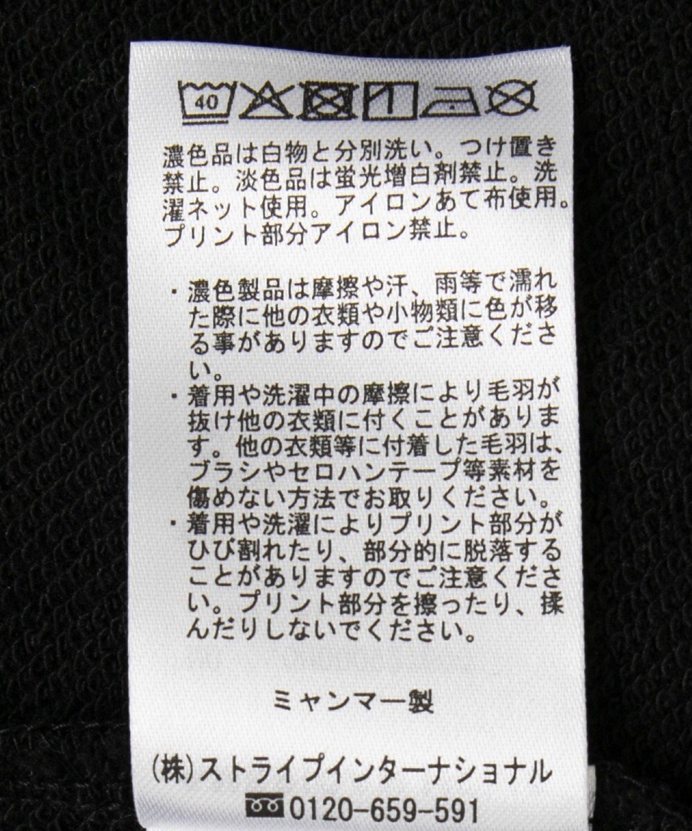AMERICAN HOLIC ハンドストロークフォト裏毛プルオーバー 