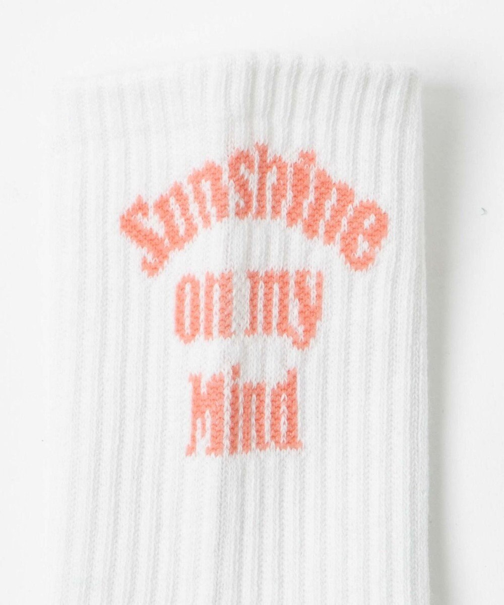 WEGO バックロゴリブソックス 