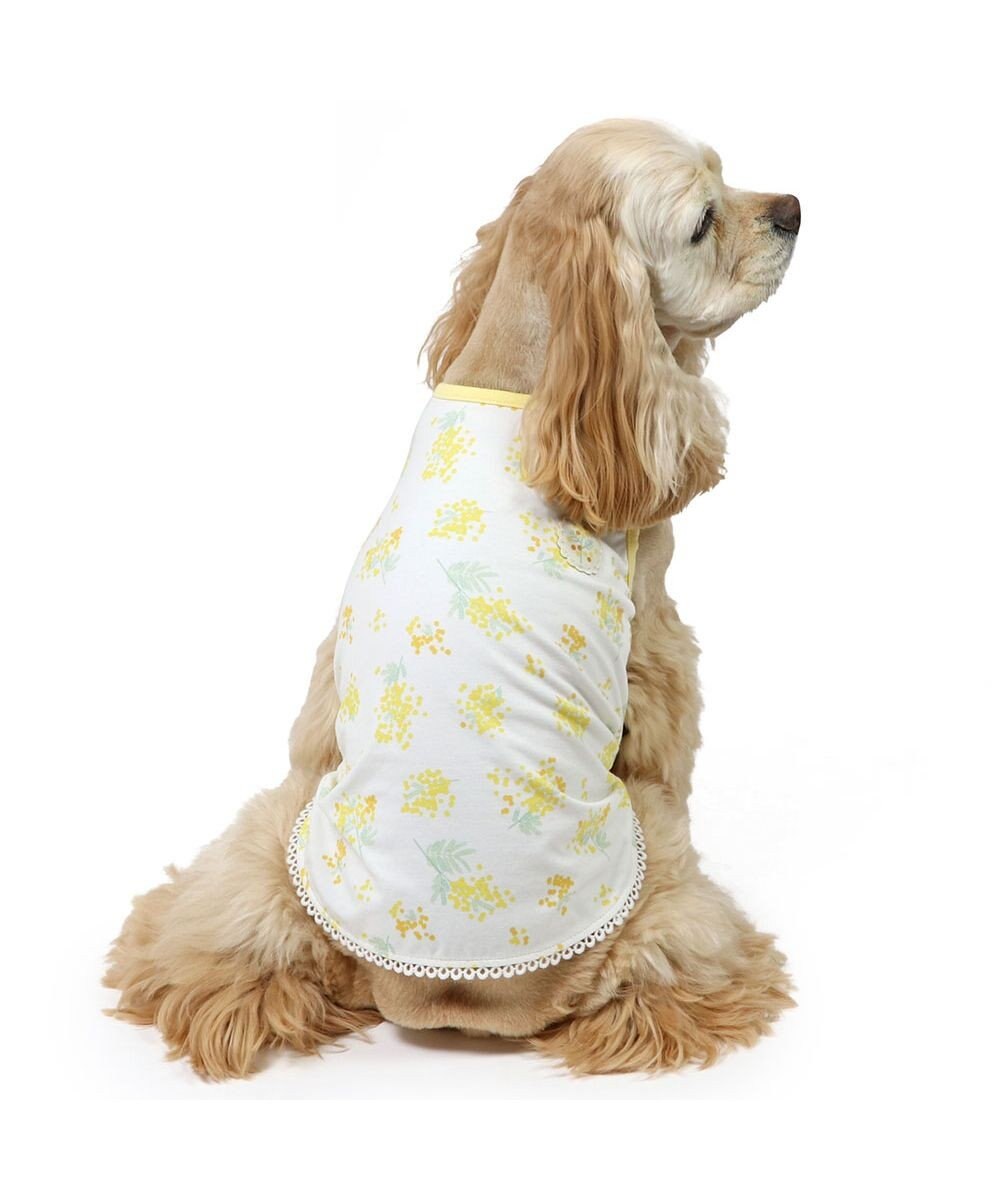 PET PARADISE ペットパラダイス はじめてタンクトップ 《ミモザ柄》 中型犬 大型犬 