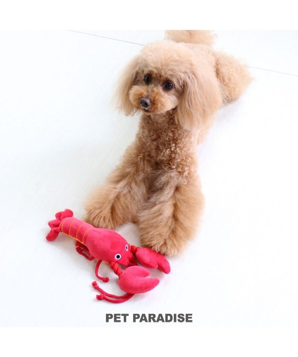 犬用品 ペットグッズ 犬 おもちゃ ペットパラダイス 犬 おもちゃ 伊勢えび おうちで遊ぼう おうち時間 犬 おもちゃ オモチャ ペットのペットトイ 玩具 Toy 小型犬 おもちゃ かわいい おもしろ インスタ映え Pet Paradise ファッション通販 公式通販 オンワード