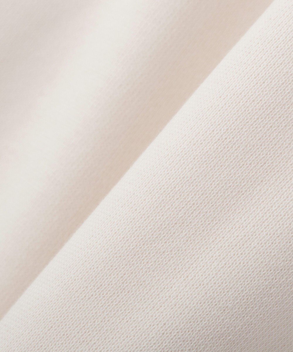 AMERICAN HOLIC カレッジロゴドルマンスウェット 