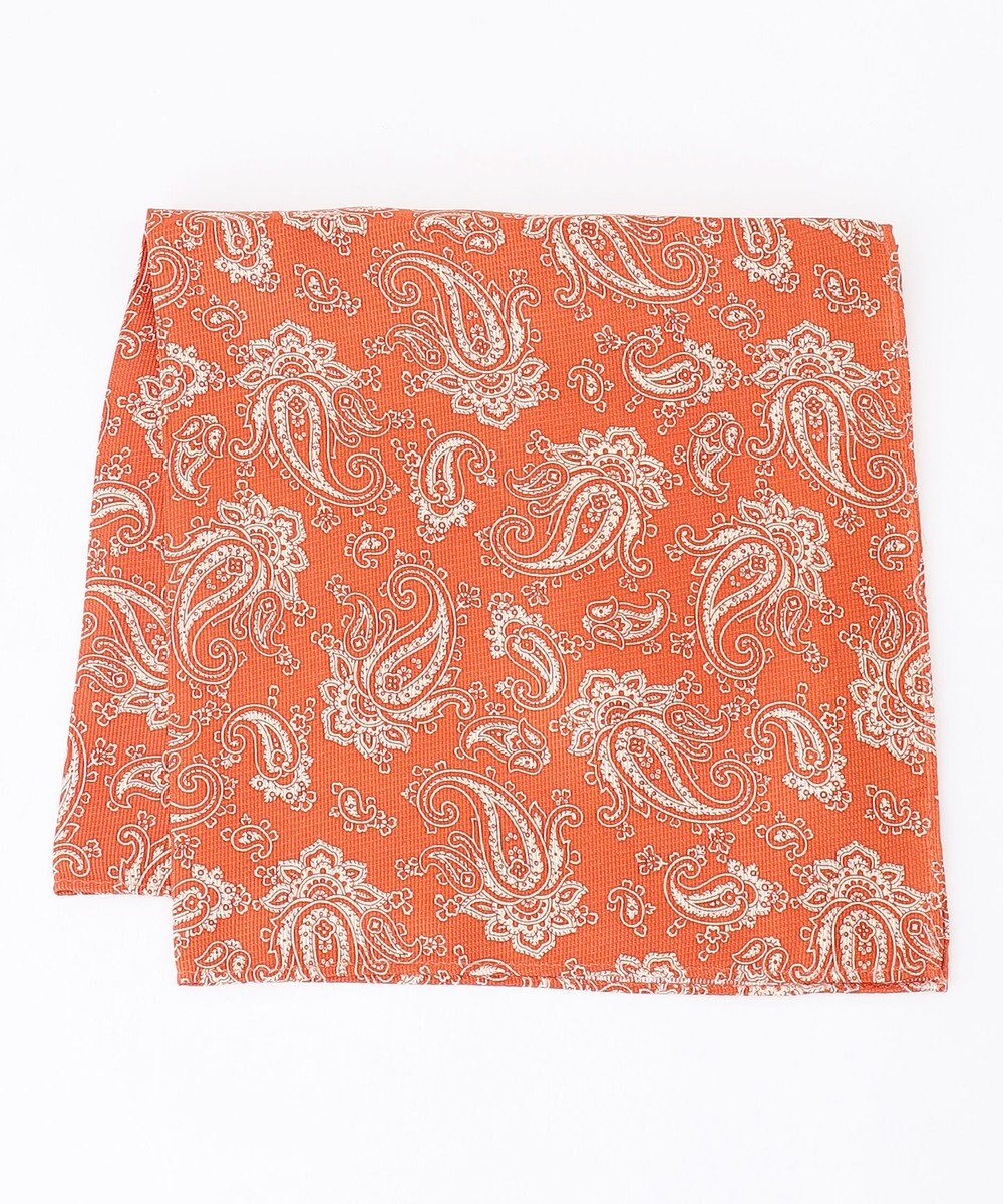 J.PRESS MEN ペイズリーハンドプリント チーフ 