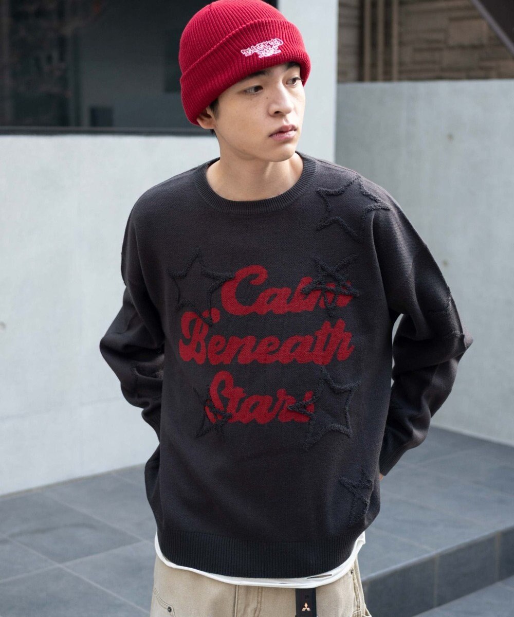 WEGO 【ユニセックス着用ITEM】パイルジャガードプルオーバー 