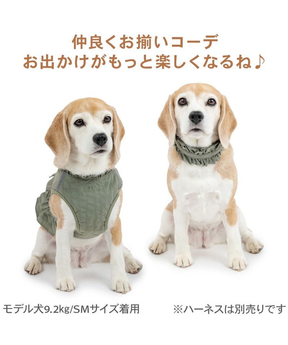 PET PARADISE ペットパラダイス ペタルオリーブ首輪 ＳＭ 