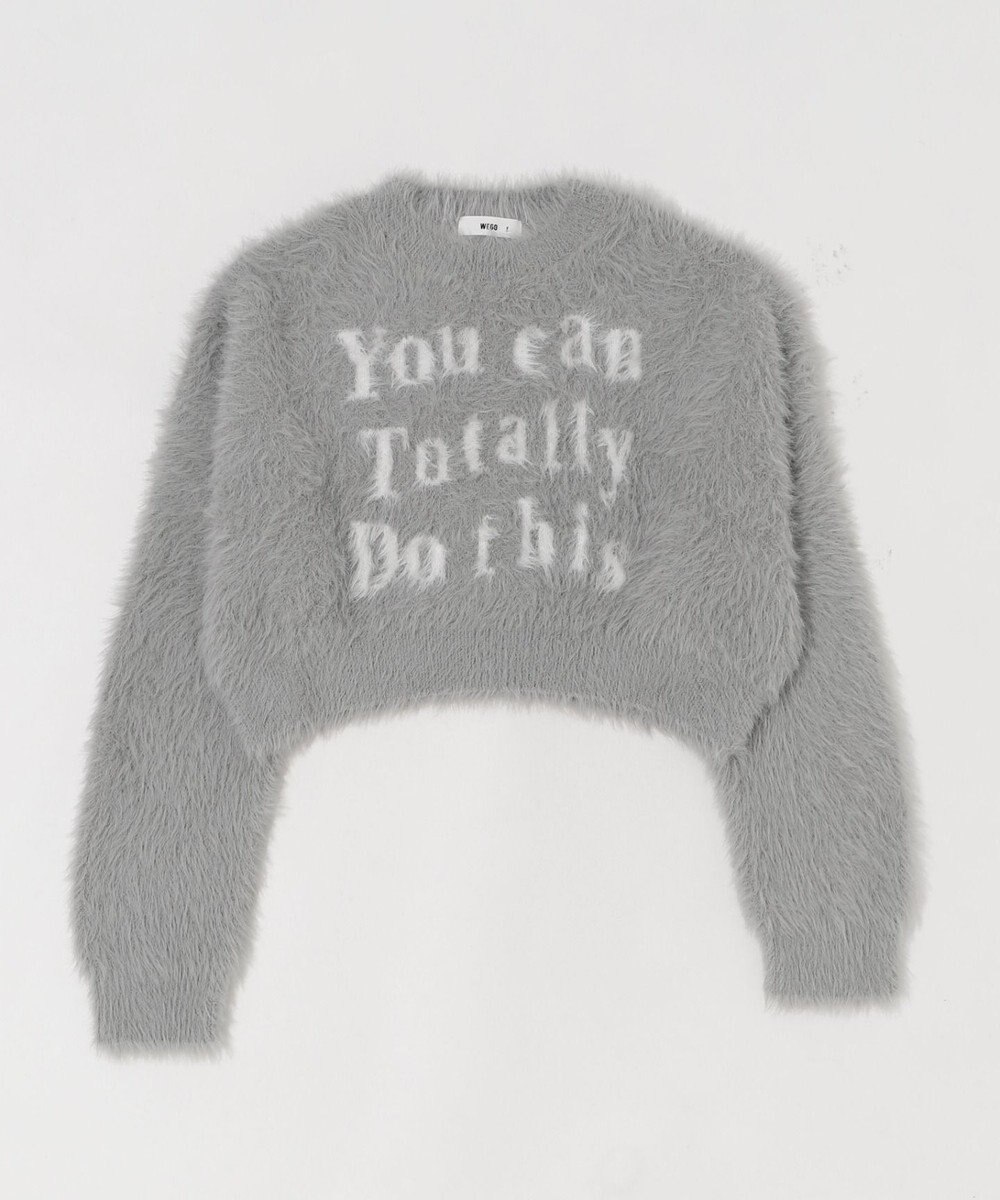 WEGO ロゴシャギーショートニット 