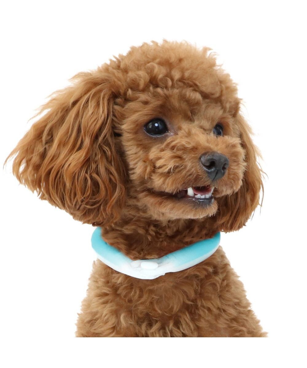 犬 ひんやり 28 3s 小型犬 ネッククーラー 繰り返し 何度も使える ネック クール 冷感 お散歩 アイシング 首もと冷却 暑さ対策 熱中症 対策 夏 ひんやり バンダナ 首掛け 涼感 冷却 ひえひえ ボタン付き ブルー ピンク Pet Paradise ファッション通販 公式 犬 ひんやり 28 3s 小型犬 ネッククーラー 繰り返し 何度も使える ネック クール 冷感 お散歩 アイシング 首もと冷却 暑さ対策 熱中症 対策 夏 ひんやり バンダナ 首掛け 涼感 冷却 ひえひえ ボタン付き ブルー ピンク Pet Paradise ファッション通販 公式