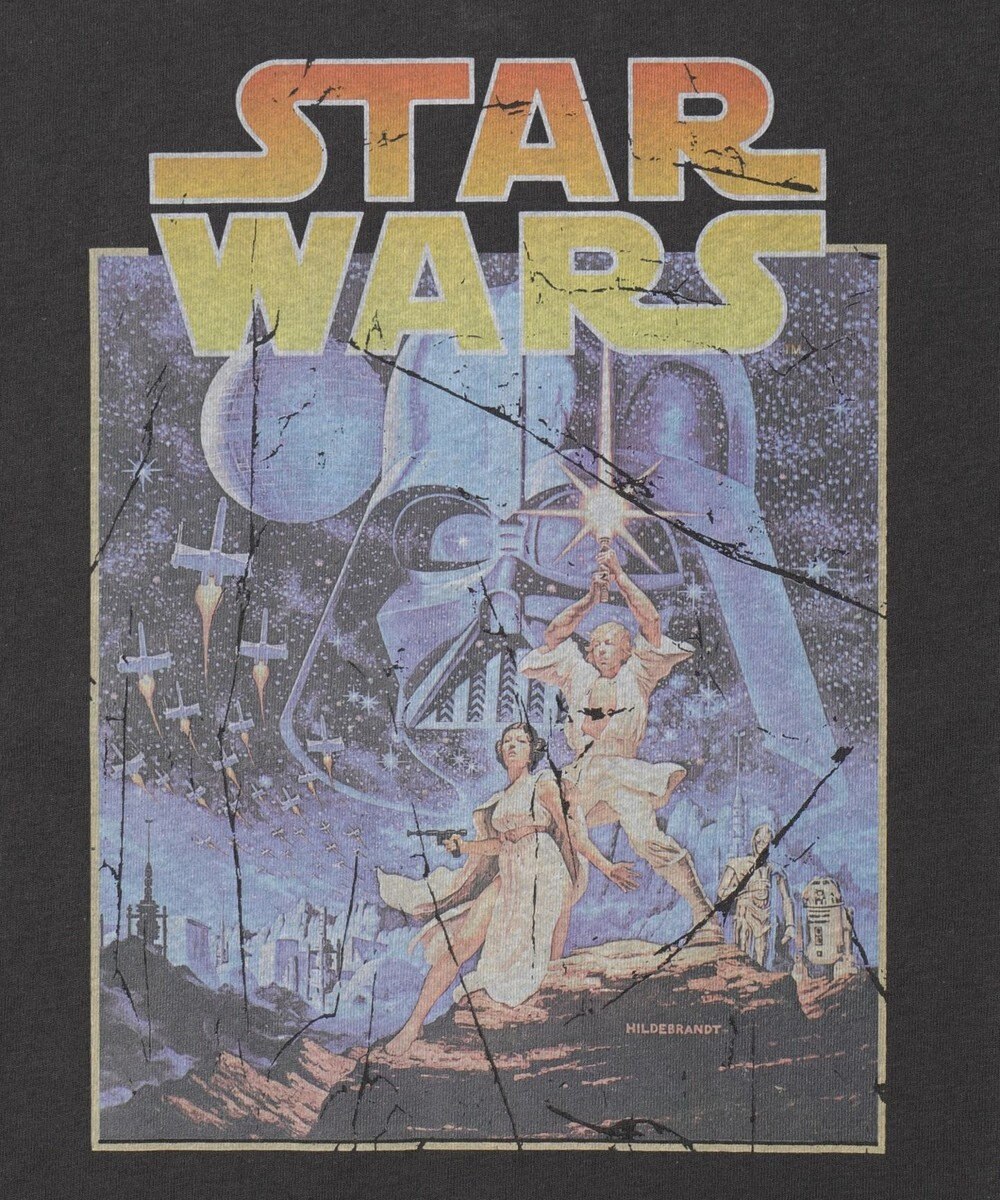 WEGO 【新柄追加/STARWARS/ユニセックス着用ITEM/SMLサイズ展開】STAR　WARS/グラフィックT（S） 