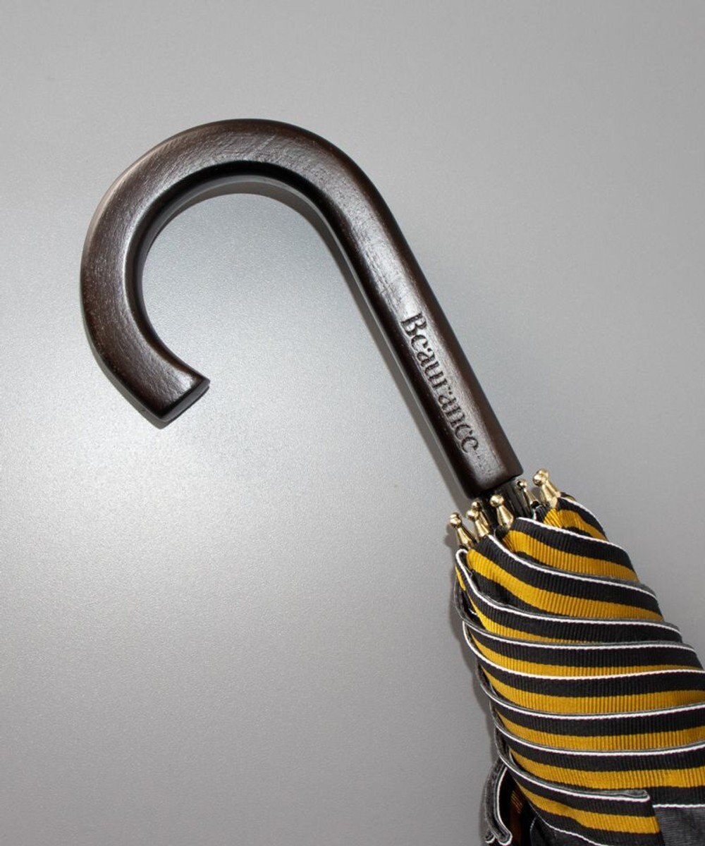 AURORA Beaurance （ビューランス）晴雨兼用傘（トップフラット） 