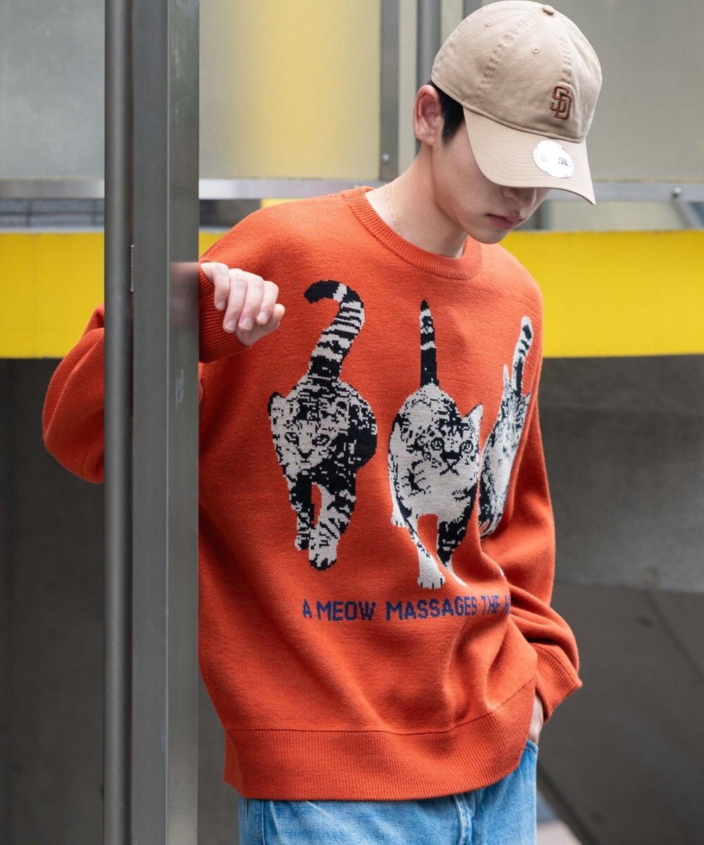 WEGO アニマルジャガードニットプルオーバー 