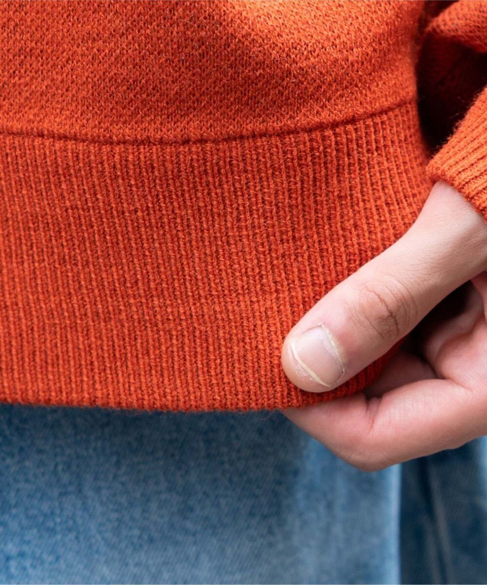 WEGO アニマルジャガードニットプルオーバー 