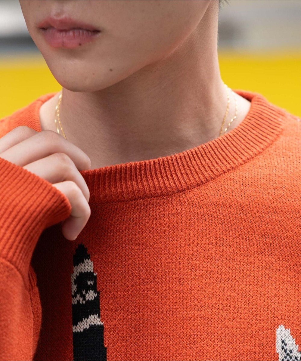 WEGO アニマルジャガードニットプルオーバー 