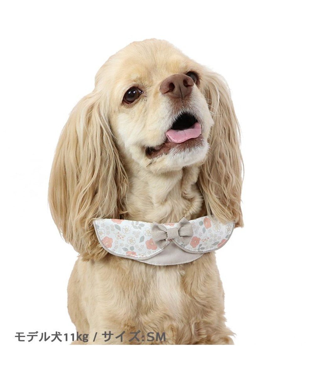 PET PARADISE 花柄 襟付首輪 おしゃれ 【ＳM】 中型犬 