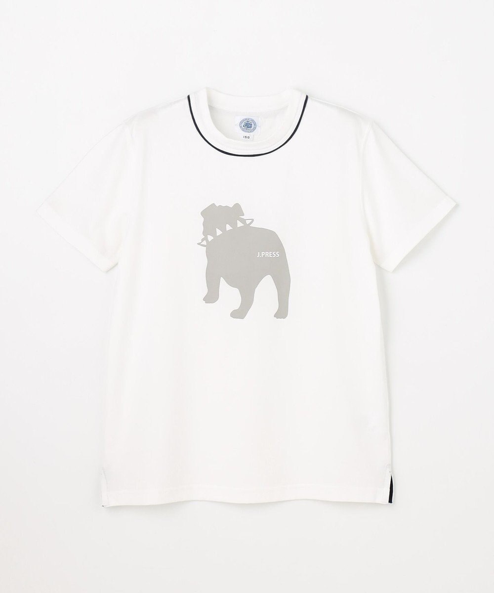 J.PRESS KIDS 【140-170cm】 バックブルTシャツ 