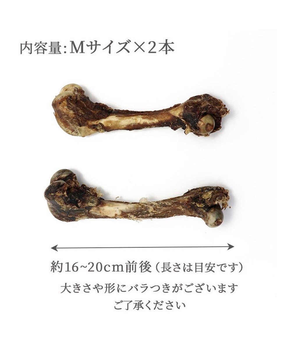 PET PARADISE ≪数量限定≫  鹿 げん骨 デンタルおやつ Mサイズ×2本 純国産 