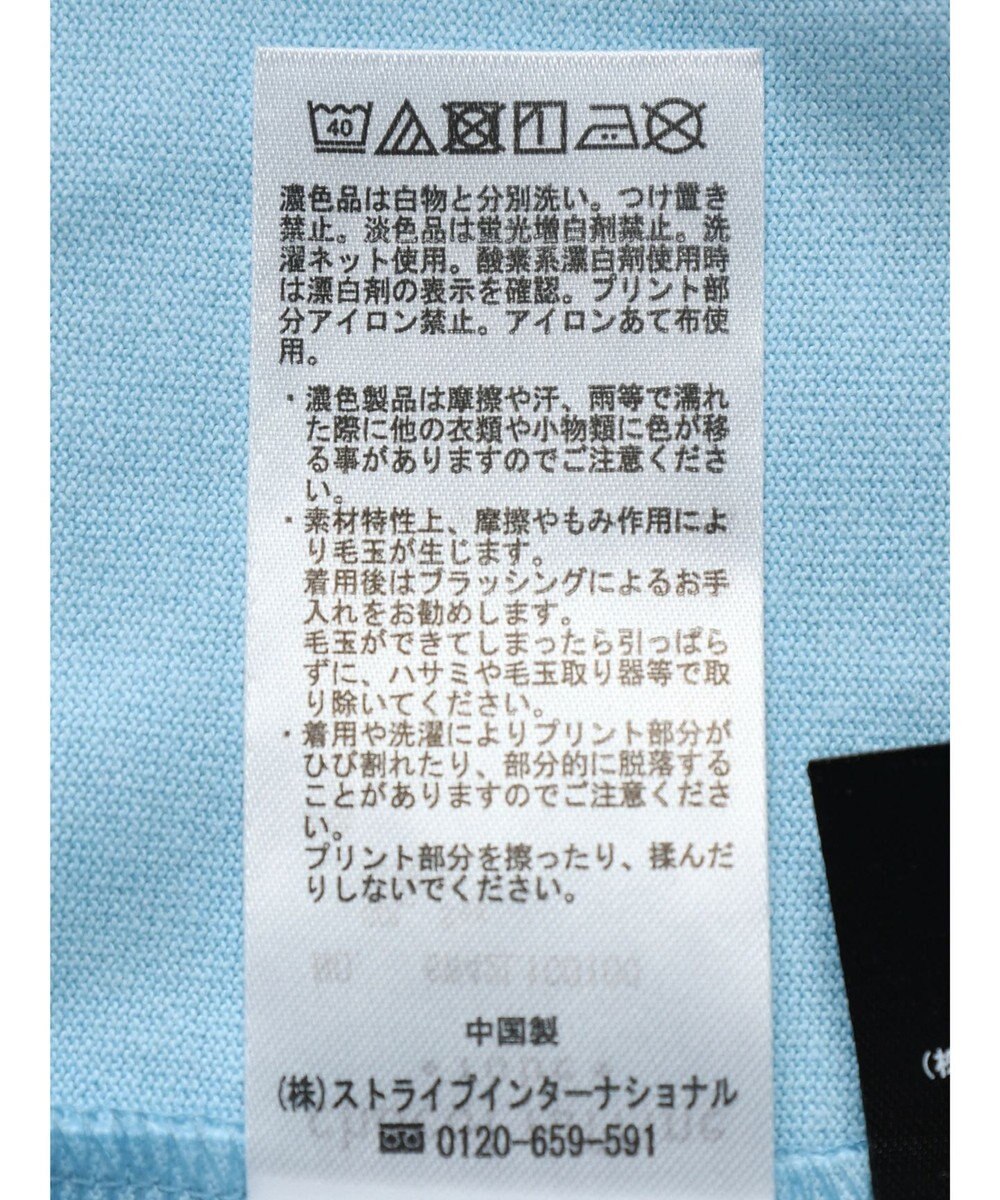 Green Parks Ｄｉｓｎｅｙ／バックプリント刺繍ロンＴＥＥ 