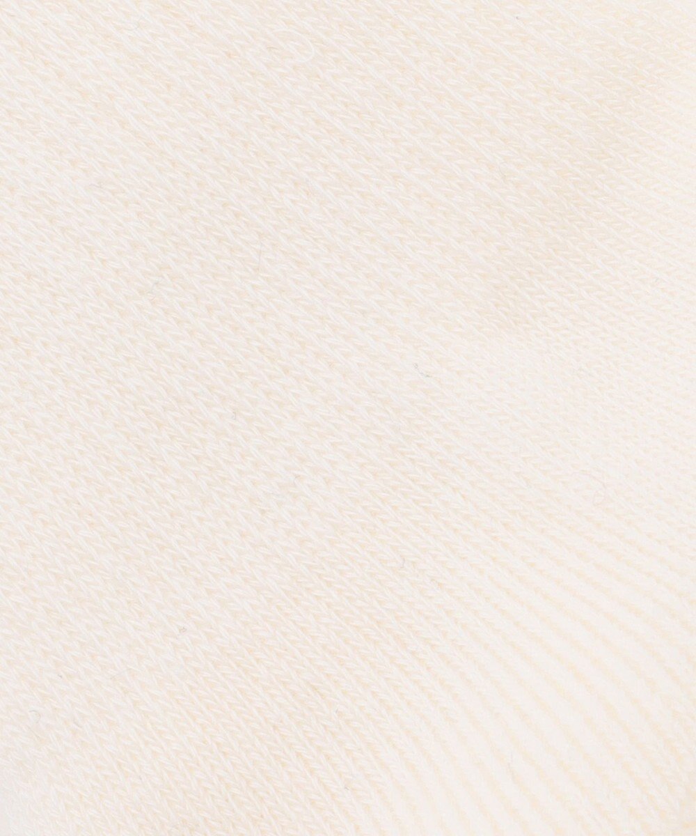 J.PRESS MEN 【BULLDOG BOY】リブライン ソックス 