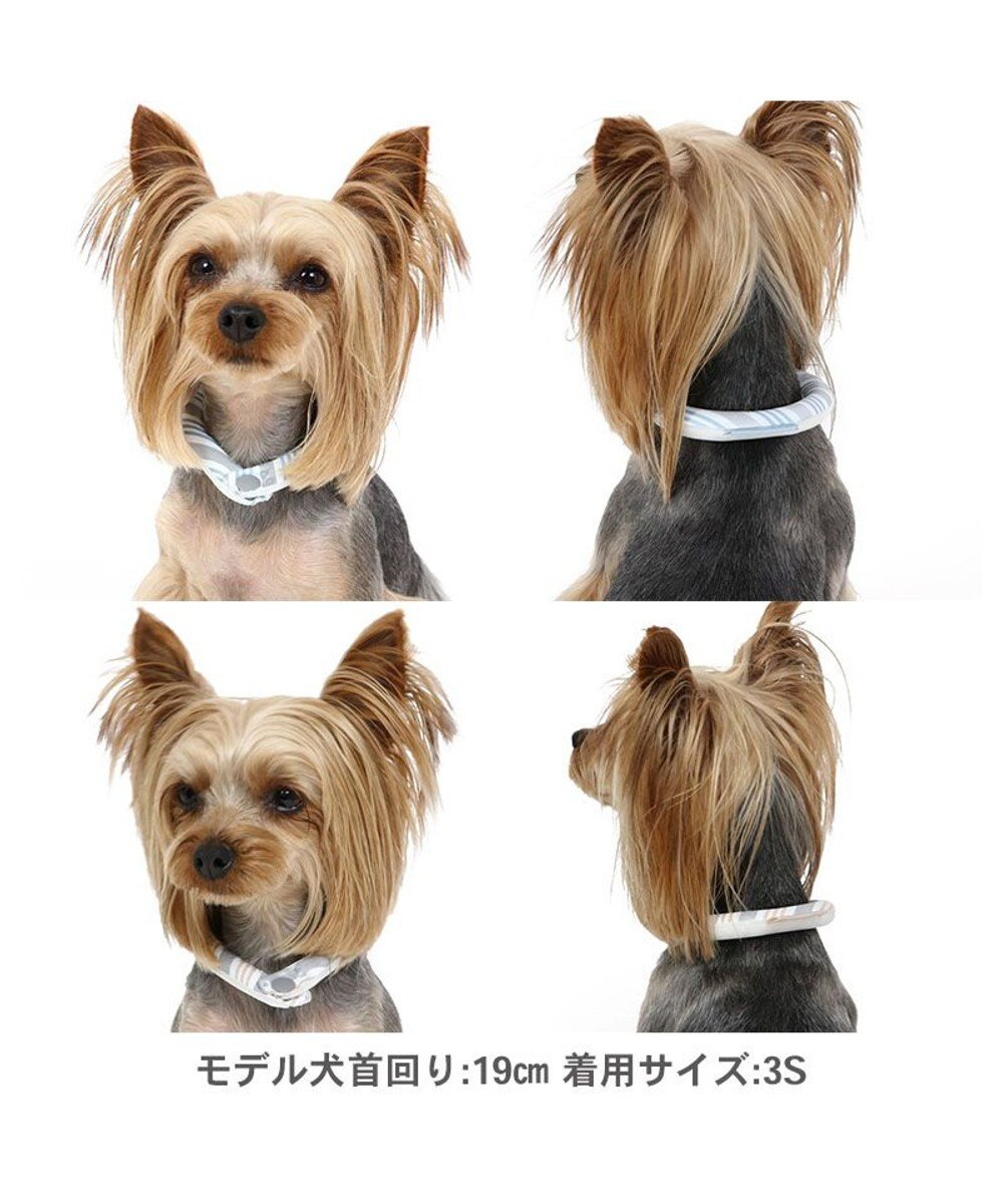 PET PARADISE クールリング 犬 クールネック ひんやり 28℃クールリング 【３Ｓ】 リフレクター 水色 ベージュ  反射材付き 