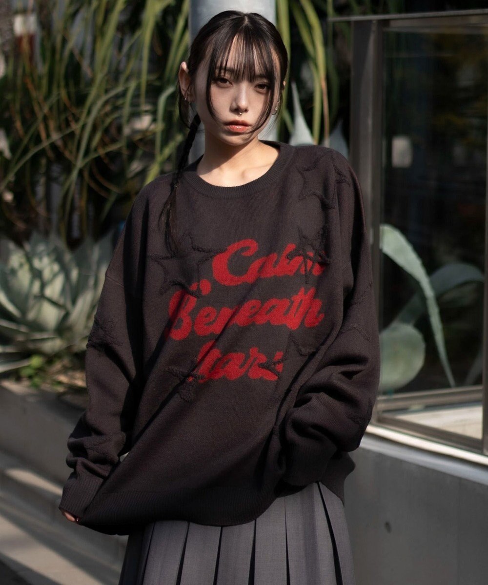 WEGO 【ユニセックス着用ITEM】パイルジャガードプルオーバー 