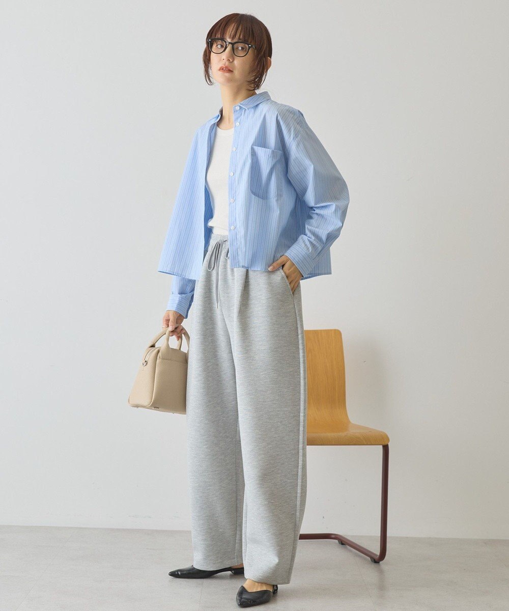 AMERICAN HOLIC 【イージーケア】ショート丈ストライプシャツ 