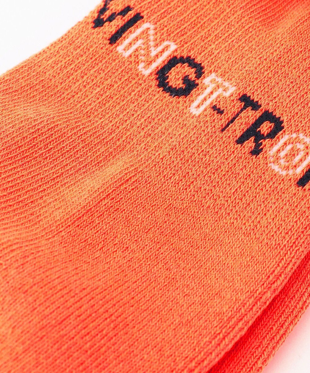 23区GOLF 【MEN】カラーソックス 