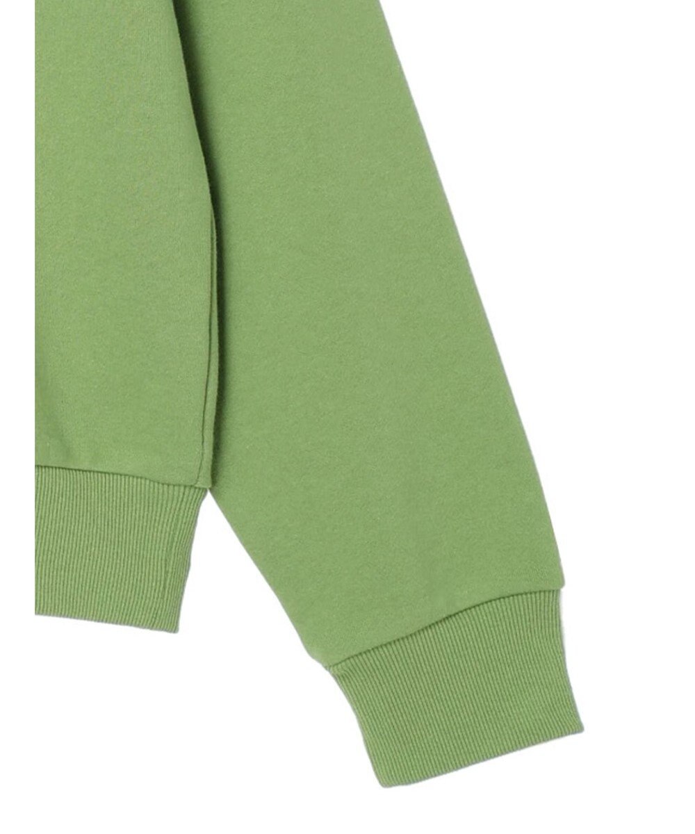 Green Parks ＦＡＮＴＡＳＩＡ／ポスタープリント裏毛プルオーバー 