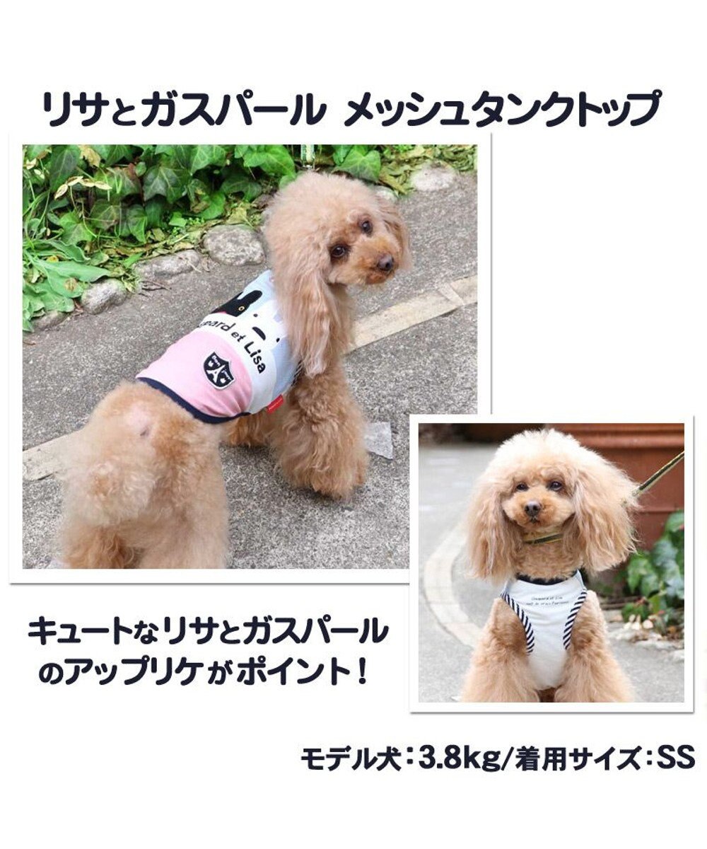 最終お値下げ リサとガスパール 犬のバギー Nghiencuudinhluong Com