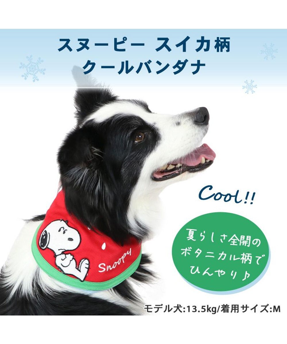 PET PARADISE スヌーピー スイカ柄 クールネック バンダナ 《保冷剤付き》【中型犬】【大型犬】 