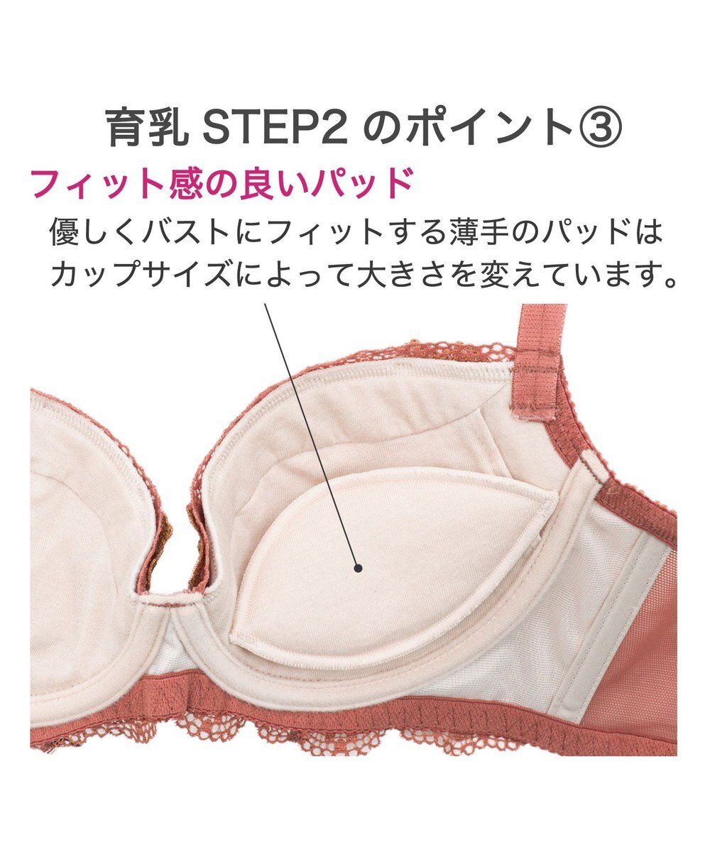 BRADELIS New York 【BRADELIS New York / 育乳ブラ・STEP2 寄せる】ローズステップ2ブラ23A1  脇高設計でスッキリ補正するブラ 