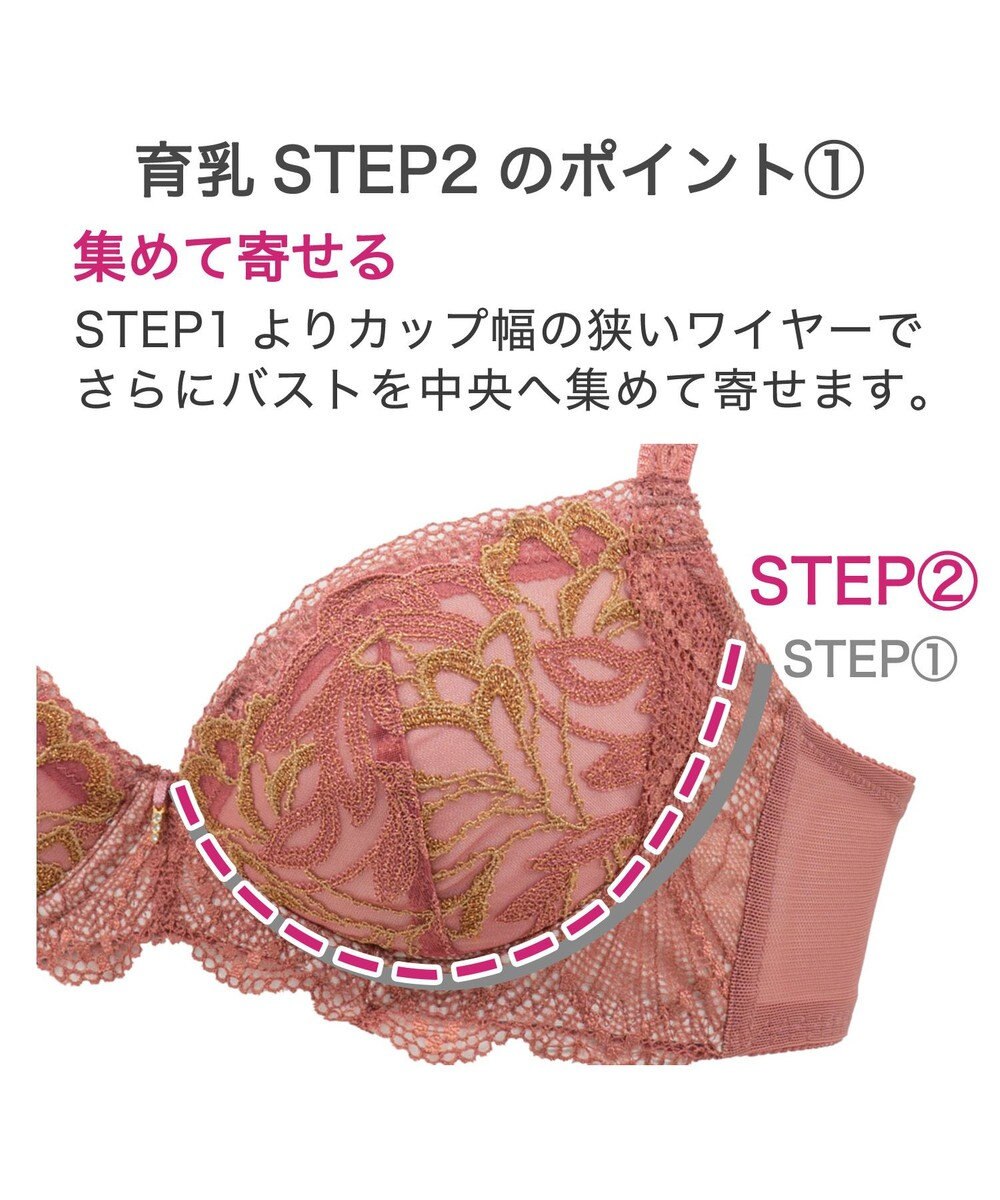 BRADELIS New York 【BRADELIS New York / 育乳ブラ・STEP2 寄せる】ローズステップ2ブラ23A1  脇高設計でスッキリ補正するブラ 
