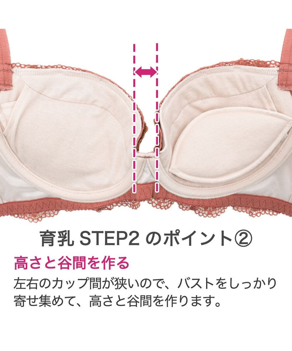 BRADELIS New York 【BRADELIS New York / 育乳ブラ・STEP2 寄せる】ローズステップ2ブラ23A1  脇高設計でスッキリ補正するブラ 