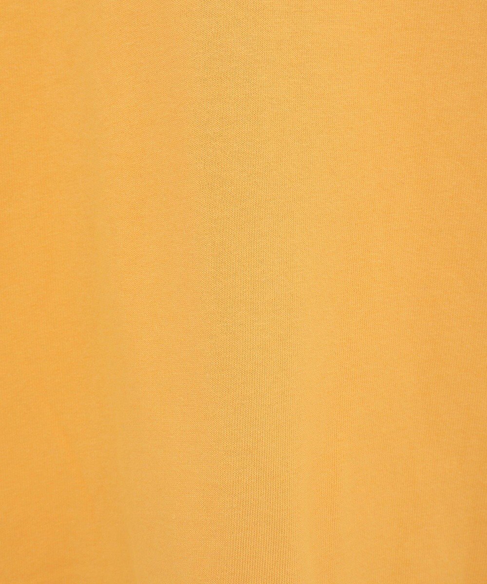 Green Parks Ｍｉｃｋｅｙ　ｆｒｉｅｎｄ　／　ワンポイントＢＩＧＴＥＥ 