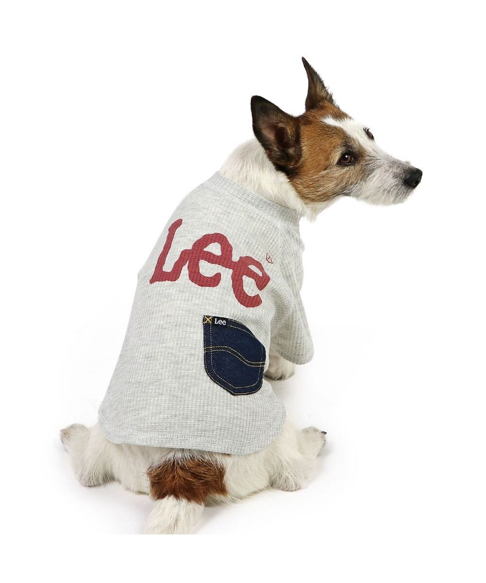 PET PARADISE Lee ワッフル Tシャツ 小型犬 