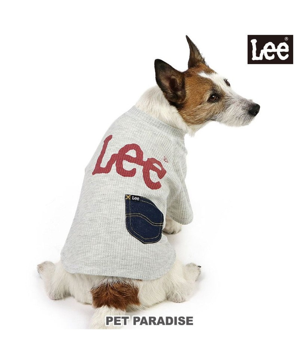 PET PARADISE Lee ワッフル Tシャツ 小型犬 グレー