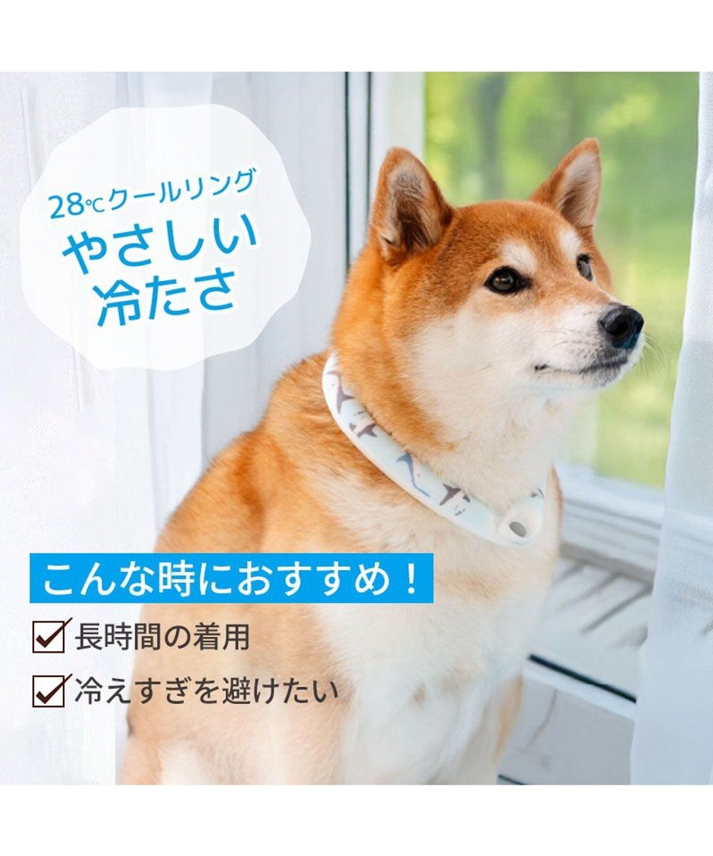 PET PARADISE ペットパラダイス ２８℃ クールリング ＳＭ 《サメ柄》 
