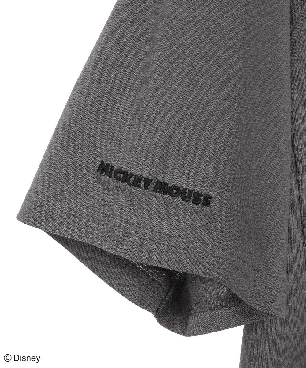 Green Parks Ｍｉｃｋｅｙ　ｆｒｉｅｎｄ　／　ワンポイントＢＩＧＴＥＥ 