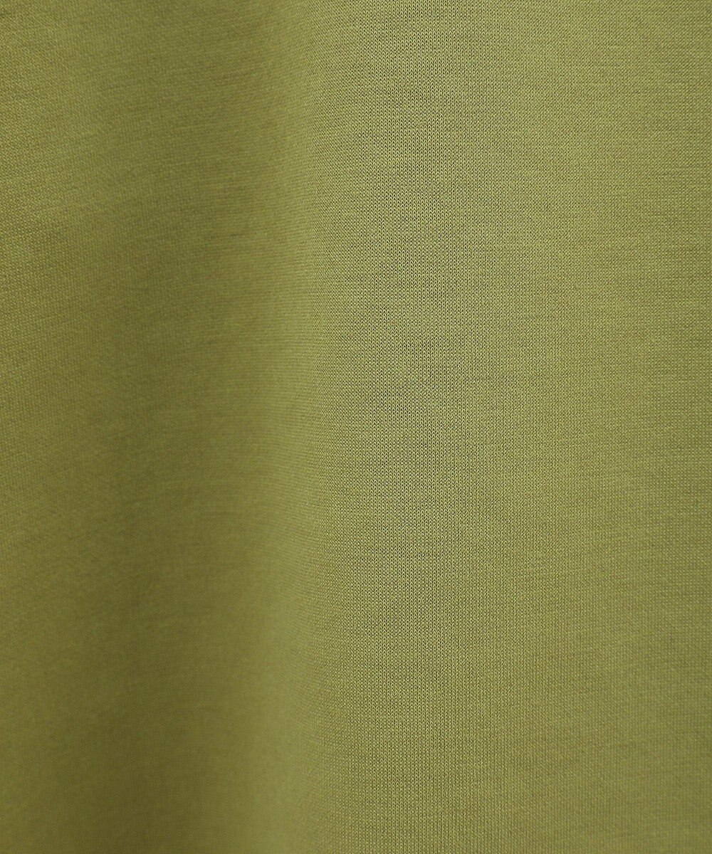 Green Parks ・ｓｗｉｎｇ　ｂｙ　フリルスリーブプルオーバー 