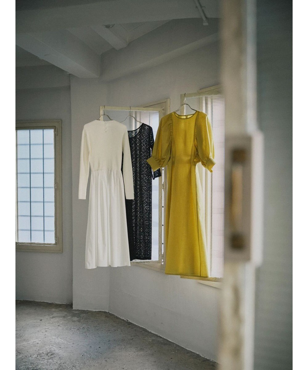 Green Parks AnriettMusee バックカットワークワンピース 