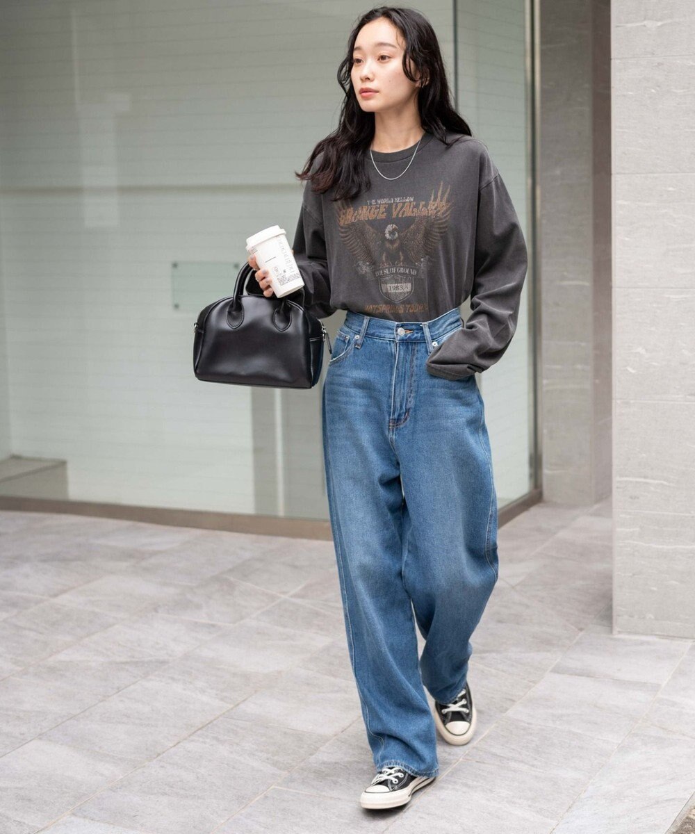 WEGO ピグメントロンT 