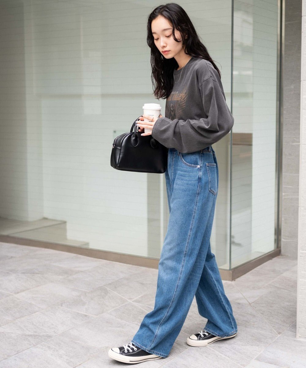 WEGO ピグメントロンT 