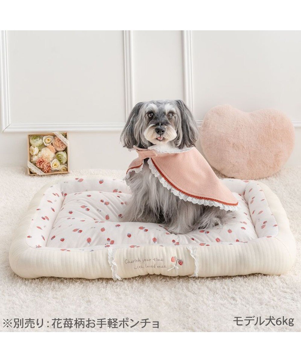 PET PARADISE ペットパラダイス カドラー 《花苺柄》　Ｌ 